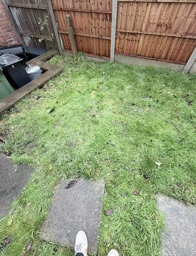 Full residential property cleanout job completed by Harrowgate Junk Removal in Philadelphia